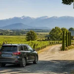 Surrey wine tours